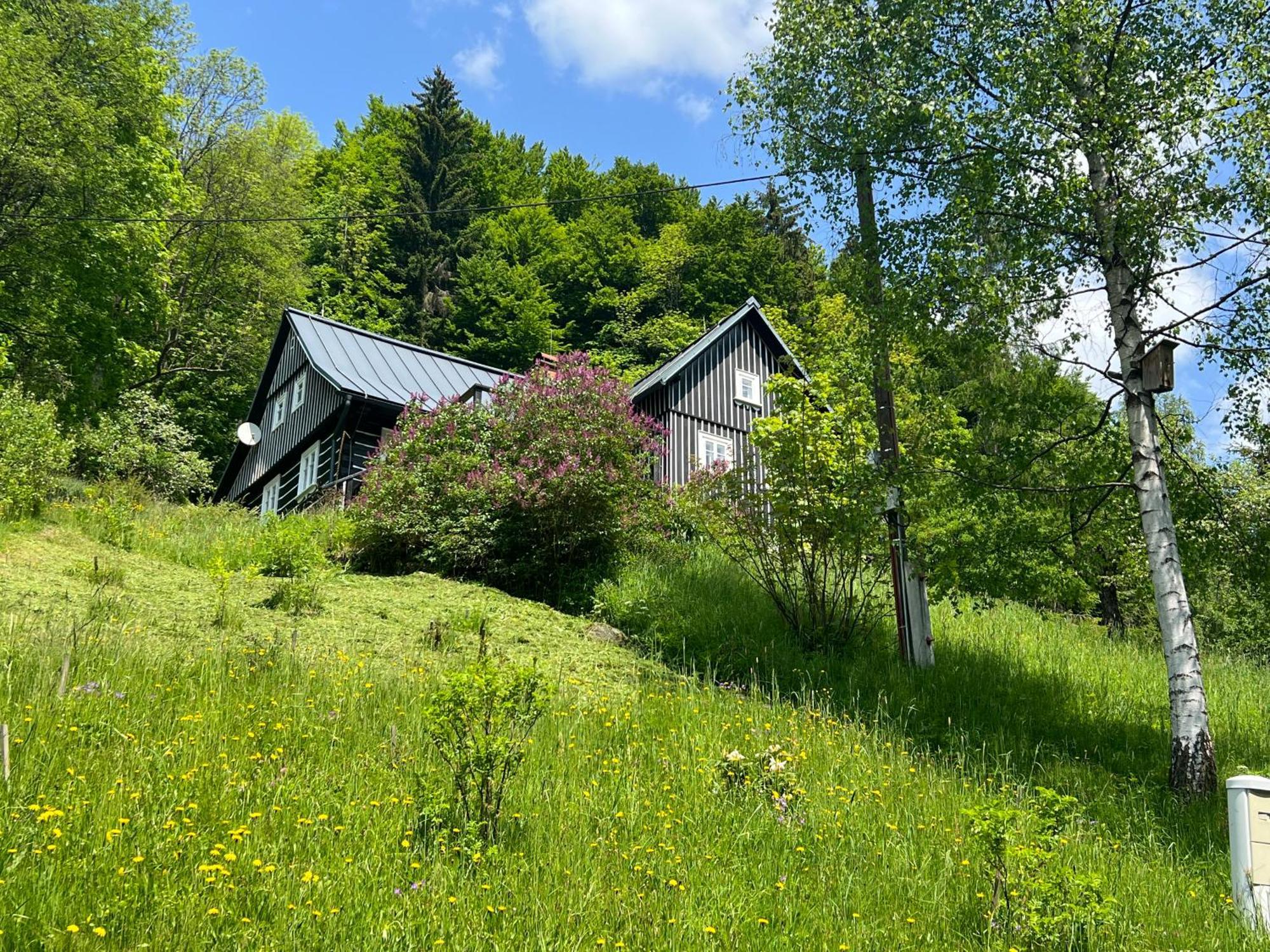 Roubenka Bratrouchov Villa Jablonec nad Jizerou Dış mekan fotoğraf